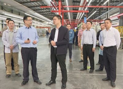 王锋率队开展暖企行动 以技术交流促当家产业升级，夯实实体经济高质量发展根基